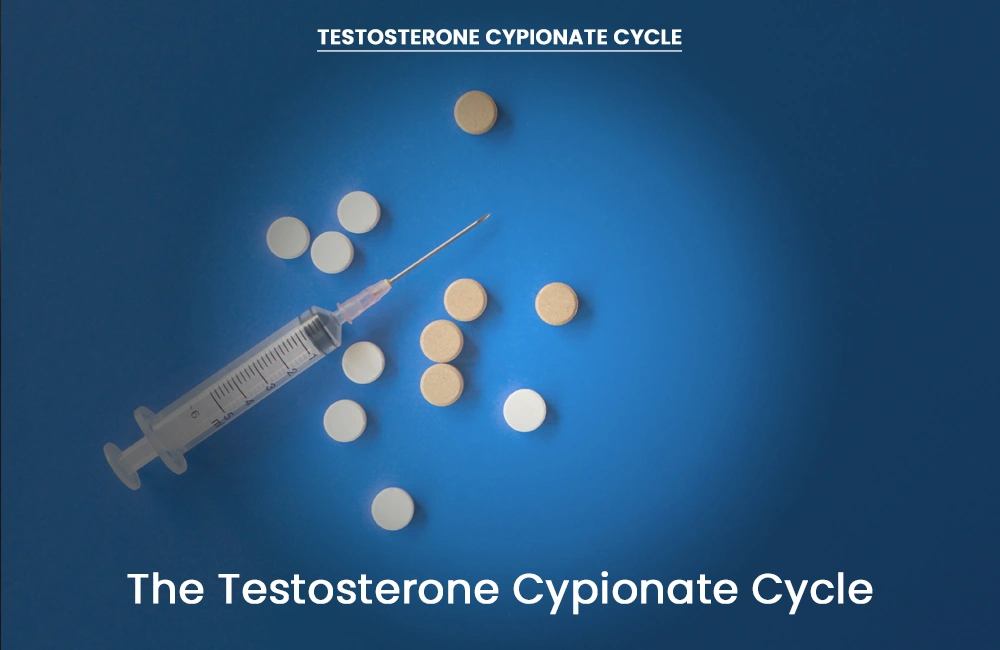 The Testosterone Cypionate Cycle