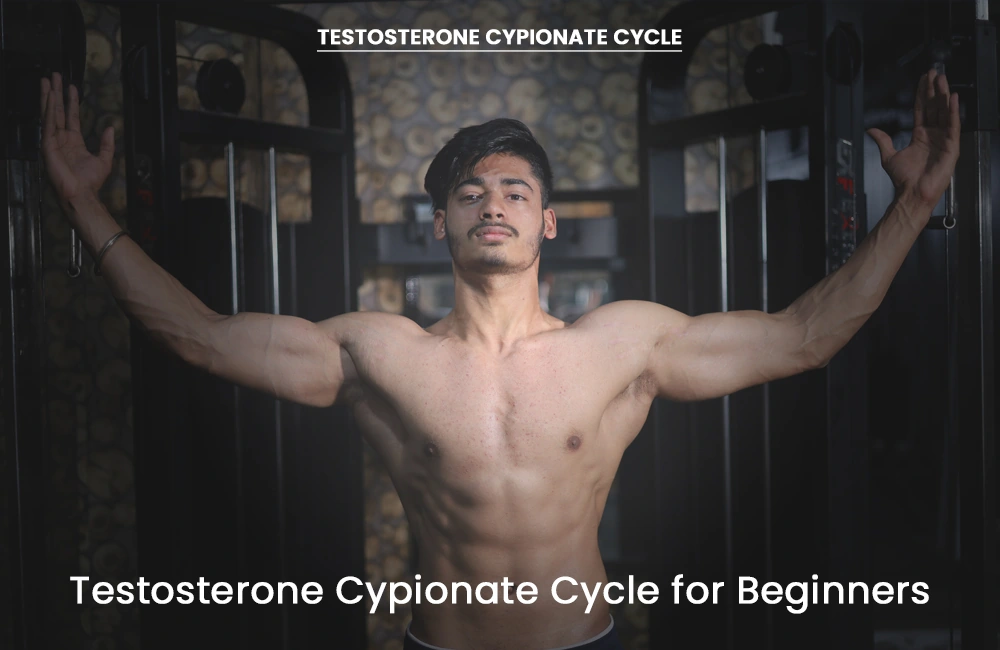Beginner Testosterone Cypionate Cycle