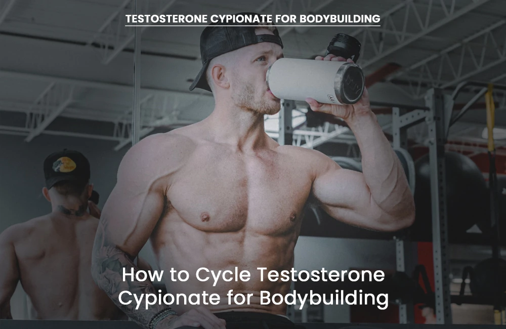 Testosterone Cypionate bodybuilding cycle
