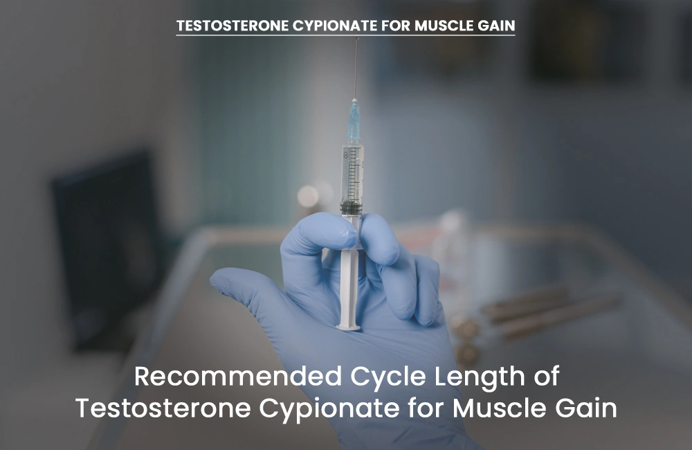 Testosterone Cypionate recommended cycle