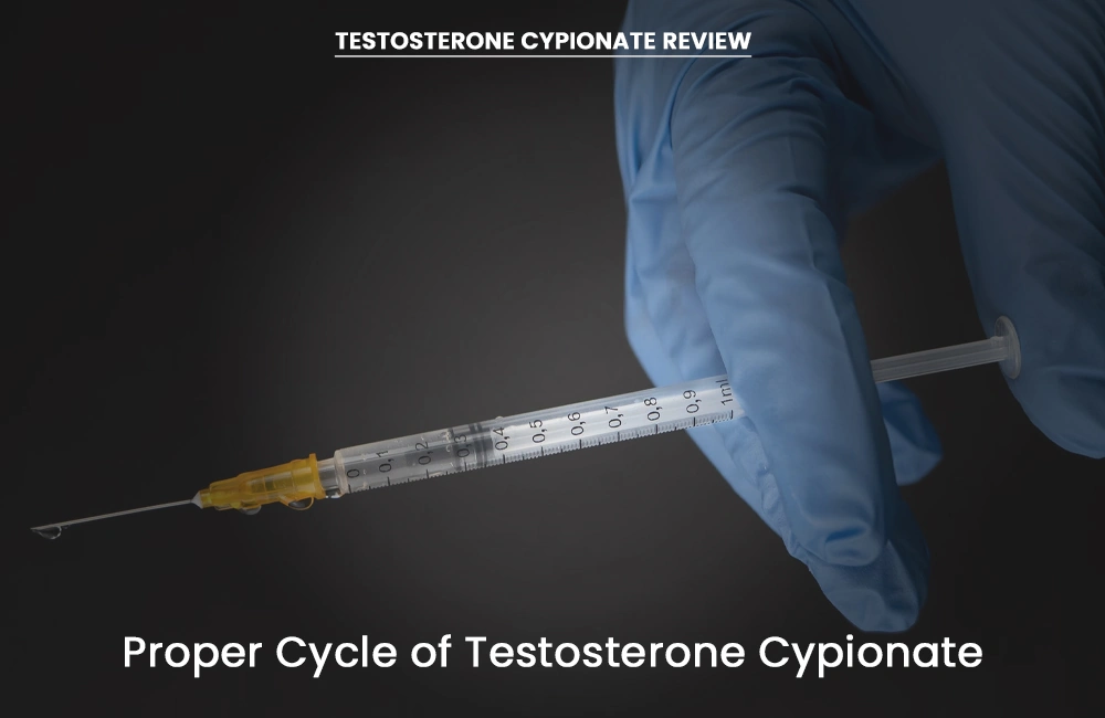 Testosterone Cypionate cycle