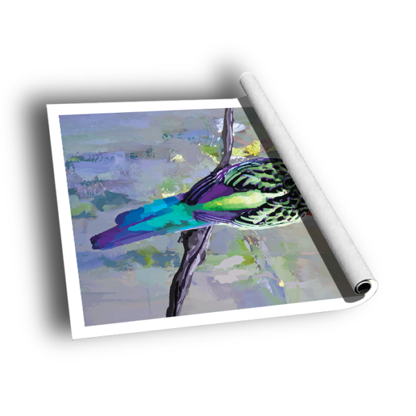Rosella – Wall Art by Modern Prints - Modern Prints